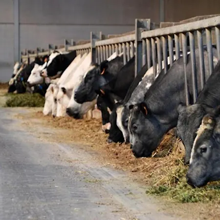 Rozenberghoeve Ploegsteert