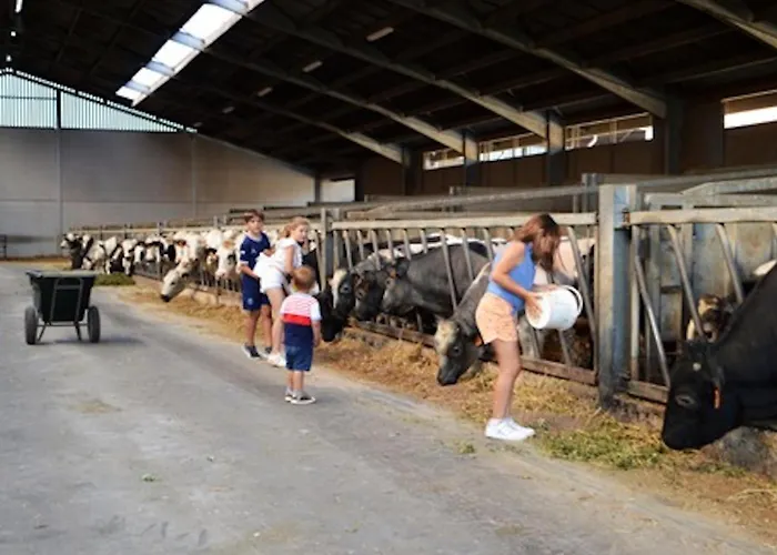 Rozenberghoeve Holiday home